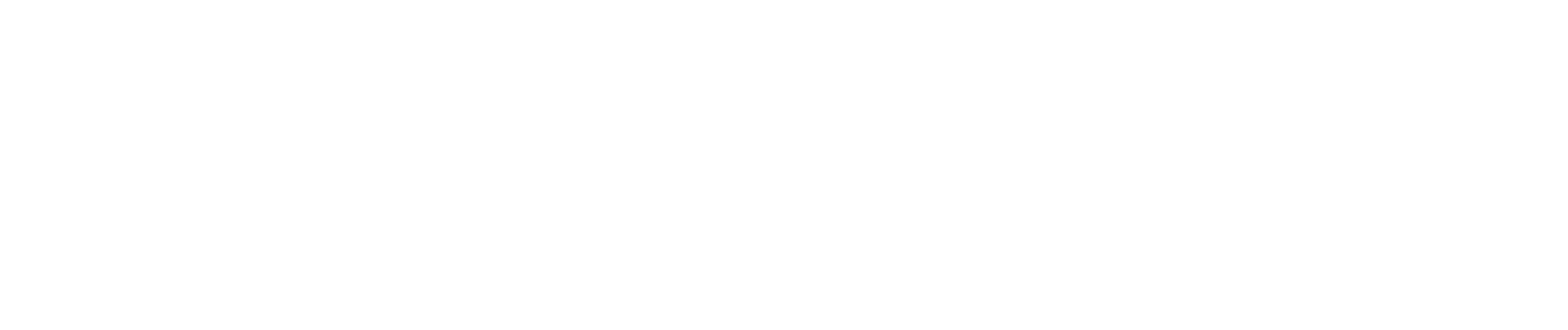 partner-img-fomin